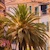  Volare Travel: 8ήμερη εκδρομή στην Κυανή Ακτή & Μονακό - Monte Carlo, 21/11/2026